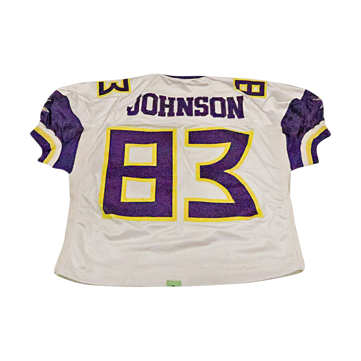 Reggie Johnson Birmingham Thunderbolts 2001 Game Used Away Jersey Size 54 Short